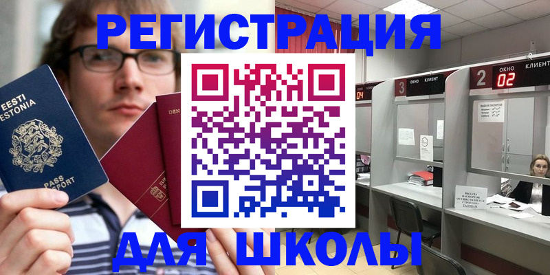 прописка поиск в Новозыбкове